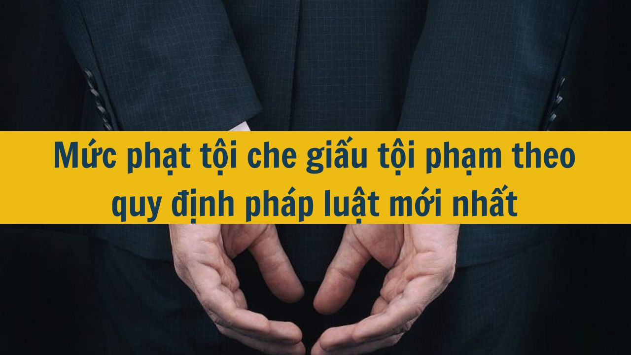 Mức phạt tội che giấu tội phạm theo quy định ph&aacute;p luật mới nhất 2025