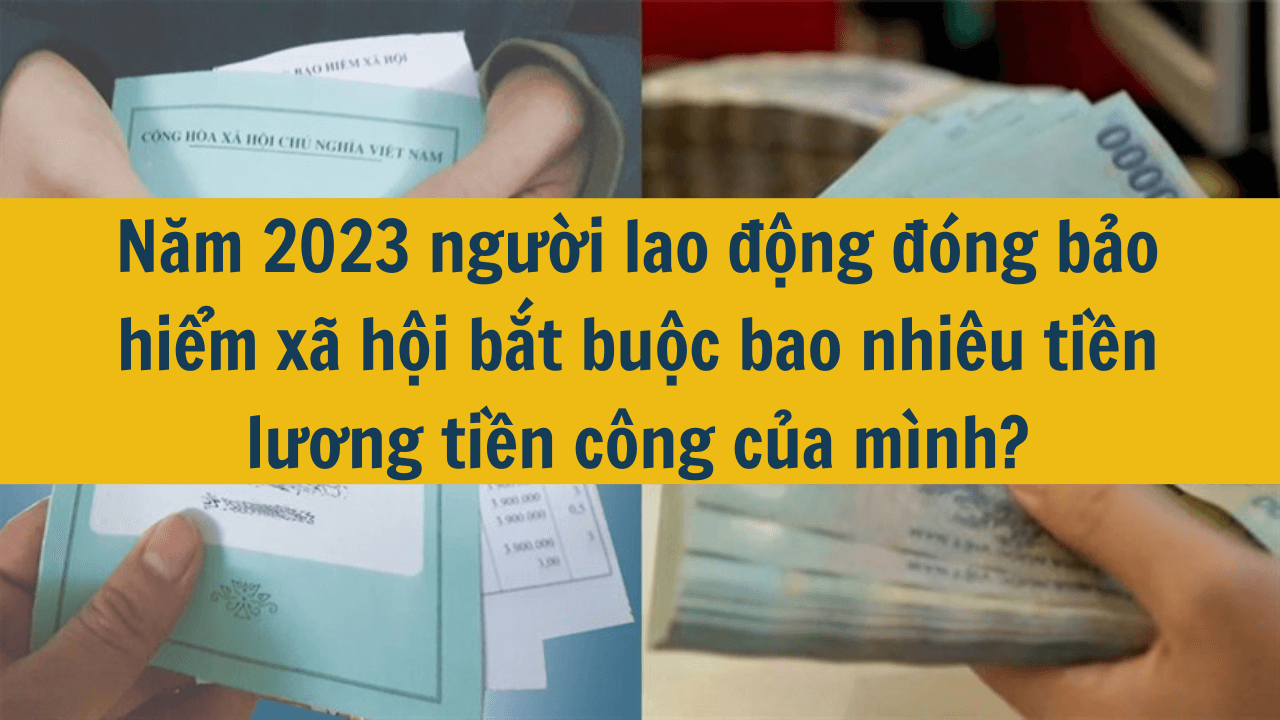 Năm 2023 người lao động đóng bảo hiểm xã hội bắt buộc bao nhiêu tiền lương tiền công của mình?