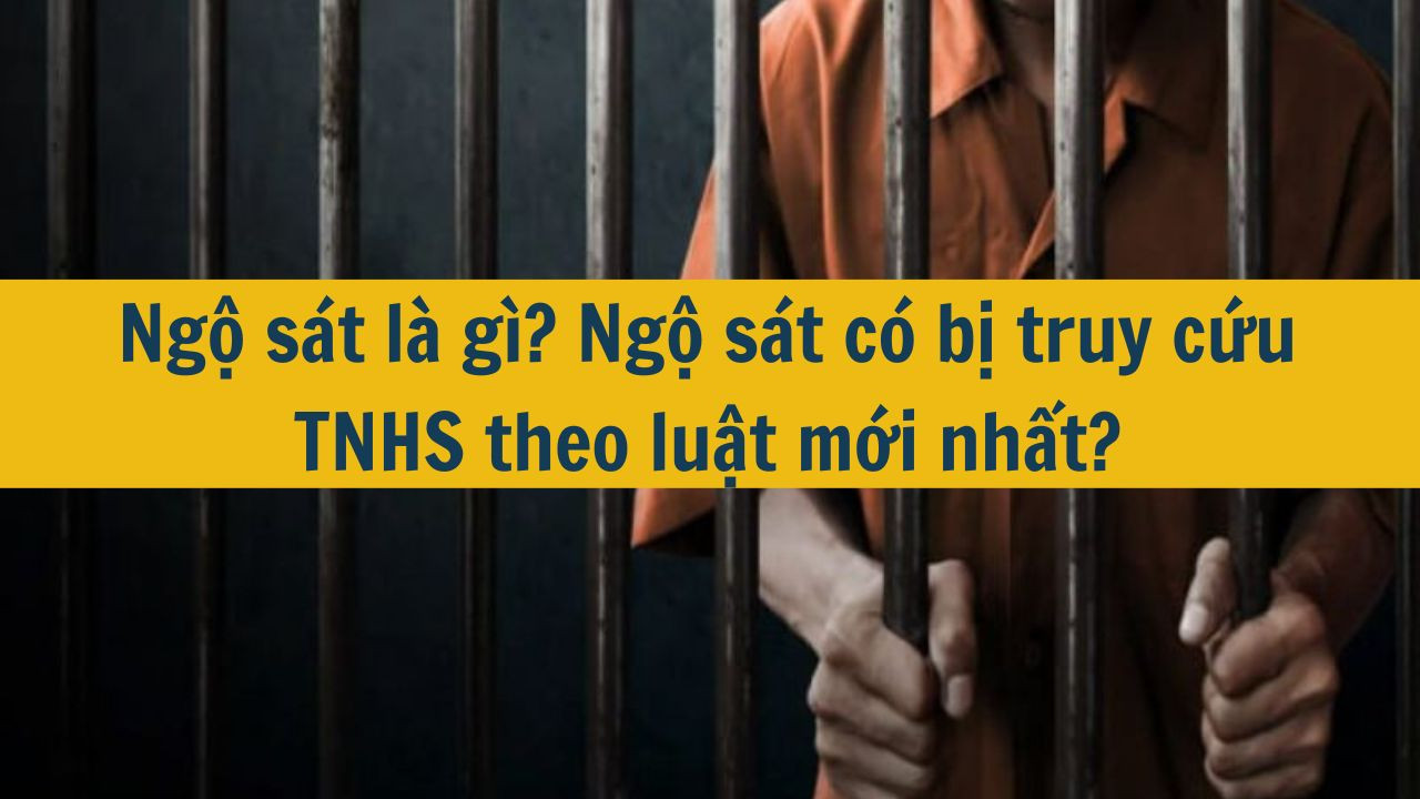 Ngộ s&aacute;t l&agrave; g&igrave;? Ngộ s&aacute;t c&oacute; bị truy cứu TNHS theo luật mới nhất 2025?