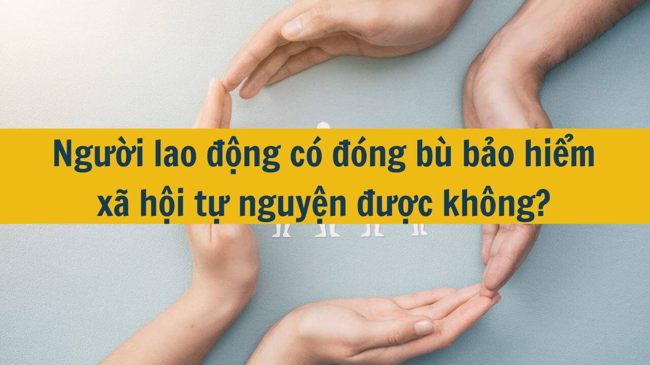 Người lao động c&oacute; đ&oacute;ng b&ugrave; bảo hiểm x&atilde; hội tự nguyện được kh&ocirc;ng?