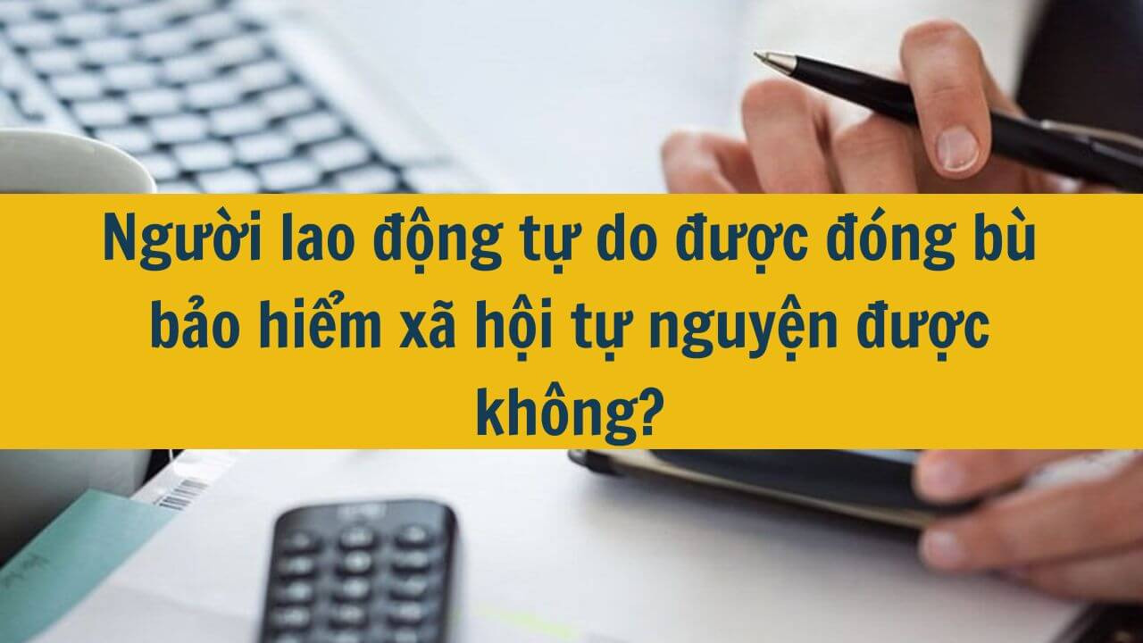 Người lao động tự do được đ&oacute;ng b&ugrave; bảo hiểm x&atilde; hội tự nguyện được kh&ocirc;ng?