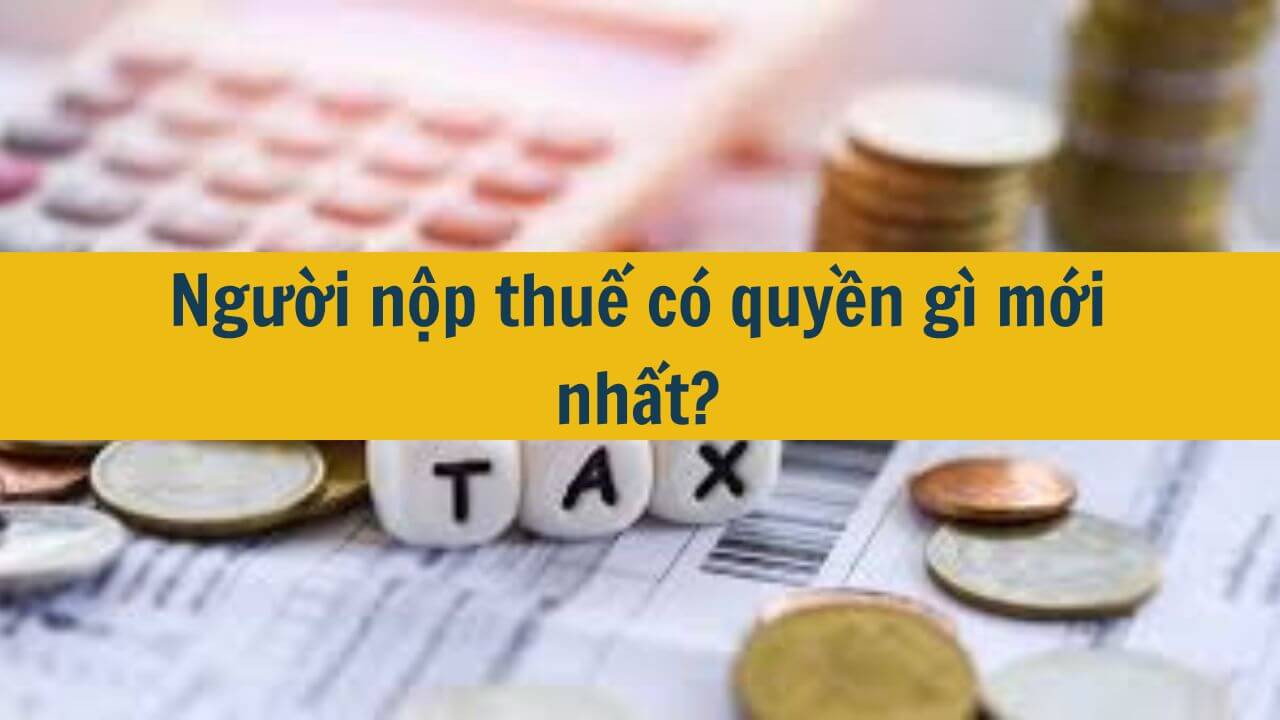 Người nộp thuế c&oacute; quyền g&igrave; mới nhất 2025?