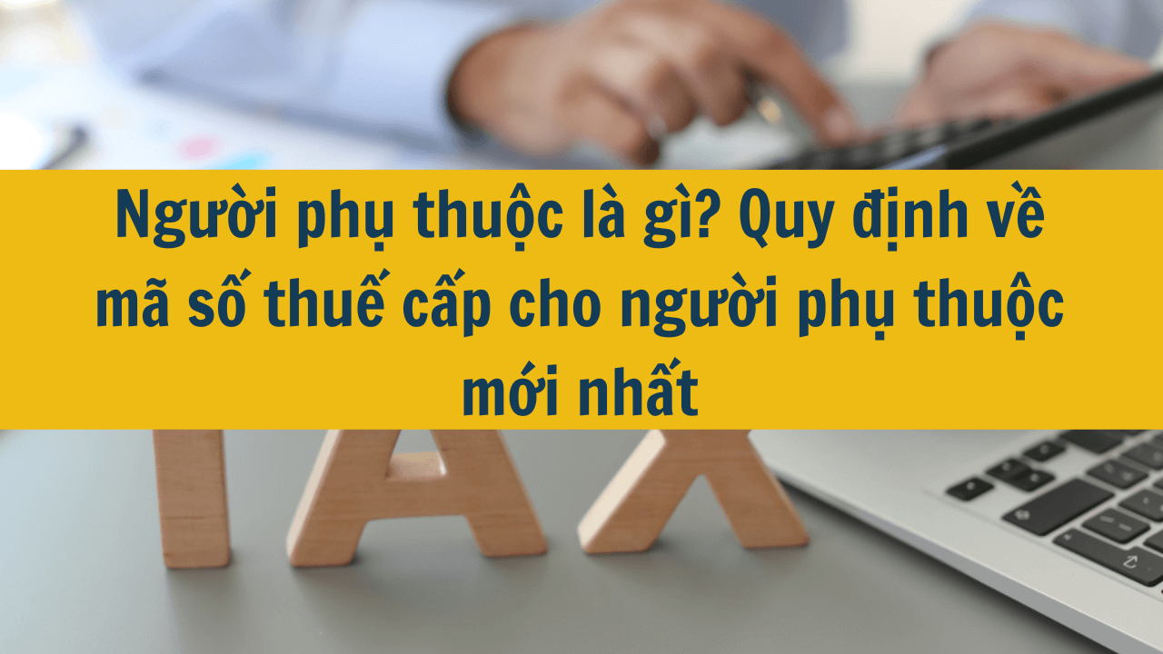 Người phụ thuộc là gì? Quy định về mã số thuế cấp cho người phụ thuộc mới nhất 2025