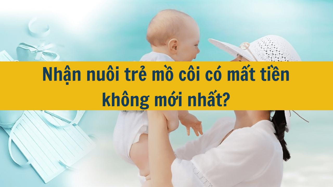 Nhận nuôi trẻ mồ côi có mất tiền không mới nhất 2025?