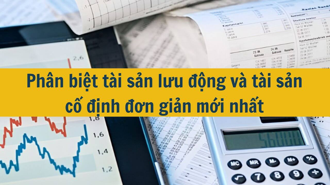 Ph&acirc;n biệt t&agrave;i sản lưu động v&agrave; t&agrave;i sản cố định đơn giản mới nhất 2025