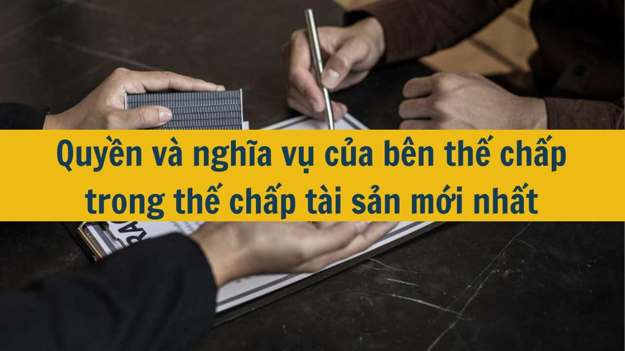 Quyền v&agrave; nghĩa vụ của b&ecirc;n thế chấp trong thế chấp t&agrave;i sản mới nhất 2025