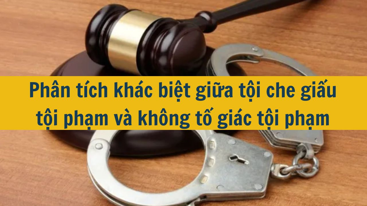 Ph&acirc;n t&iacute;ch kh&aacute;c biệt giữa tội che giấu tội phạm v&agrave; kh&ocirc;ng tố gi&aacute;c tội phạm 2025