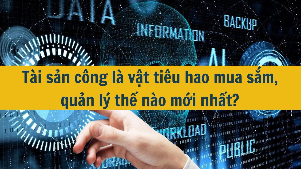 T&agrave;i sản c&ocirc;ng l&agrave; vật ti&ecirc;u hao mua sắm, quản l&yacute; thế n&agrave;o mới nhất 2025?