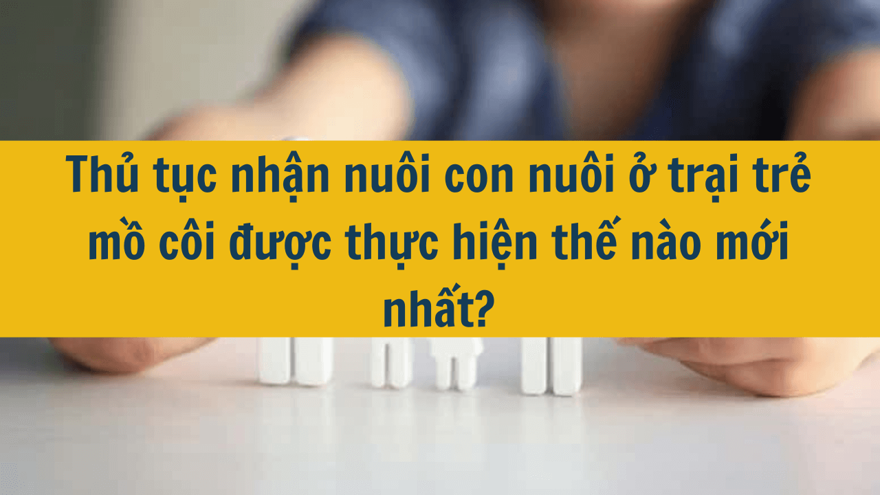 Thủ tục nhận nuôi con nuôi ở trại trẻ mồ côi được thực hiện thế nào mới nhất 2025?