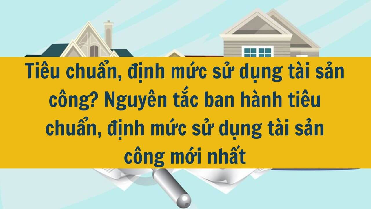 Ti&ecirc;u chuẩn, định mức sử dụng t&agrave;i sản c&ocirc;ng? Nguy&ecirc;n tắc ban h&agrave;nh ti&ecirc;u chuẩn, định mức sử dụng t&agrave;i sản c&ocirc;ng mới nhất 2025