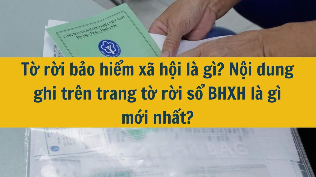 Tờ rời bảo hiểm xã hội là gì? Nội dung ghi trên trang tờ rời sổ BHXH là gì mới nhất 2025?