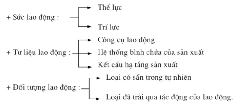 Yếu tố nào dưới đây là tư liệu lao động trong nghành Xây dựng (ảnh 1)