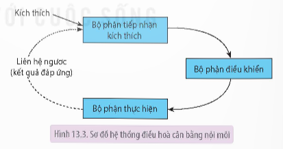 Khi nói về độ pH của máu ở người bình thường, phát biểu nào sau đây đúng C. Khi cơ thể vận động mạnh luôn làm tăng độ pH (ảnh 1)