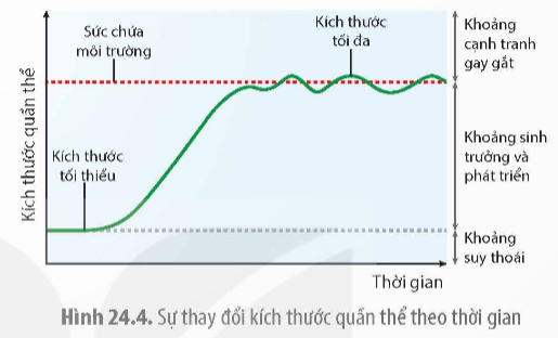 Khi nói về kích thước của quần thể sinh vật, phát biểu nào sau đây là đúng? (ảnh 1)