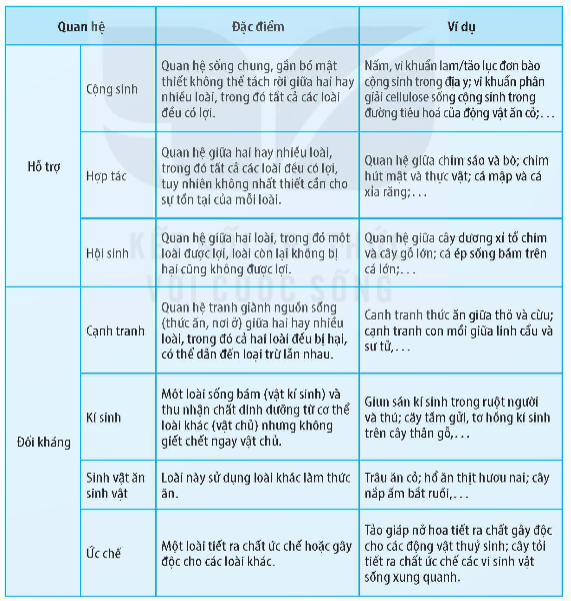 Mối quan hệ nào sau đây là quan hệ đối kháng trong quần xã? (ảnh 1)