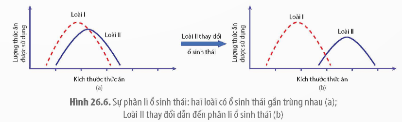 Mối quan hệ nào sau đây là quan hệ đối kháng trong quần xã? (ảnh 1)