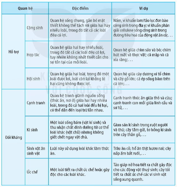 Trong các đặc điểm dưới đây đặc điểm không đúng với vai trò của quan hệ (ảnh 1)