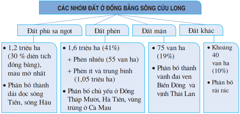 Đất phù sa ngọt ở đồng bằng sông Cửu Long phân bố tập trung ở (ảnh 1)