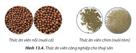 Đâu là thức ăn thô của thủy sản? (ảnh 1)