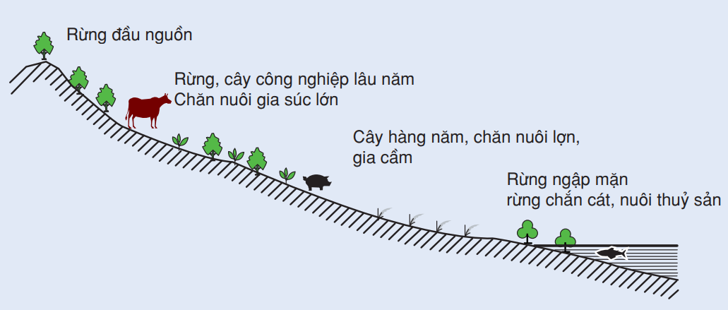 Vấn đề có ý nghĩa hàng đầu đối với sự hình thành cơ cấu kinh tế của vùng Bắc Trung Bộ là (ảnh 1)