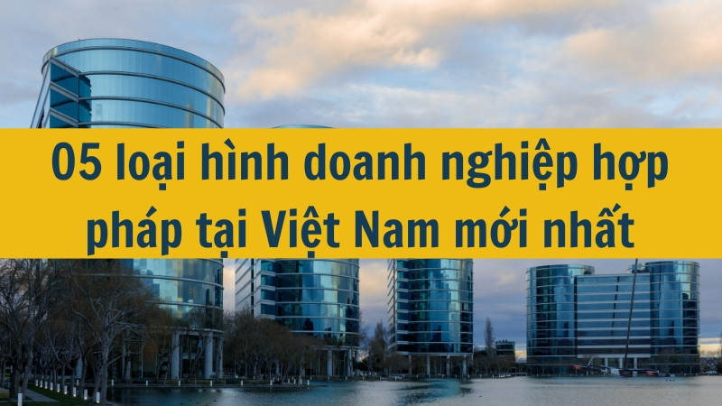 05 loại h&igrave;nh doanh nghiệp hợp ph&aacute;p tại Việt Nam mới nhất