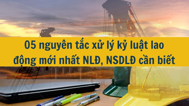 05 nguy&ecirc;n tắc xử l&yacute; kỷ luật lao động mới nhất NLĐ, NSDLĐ cần biết