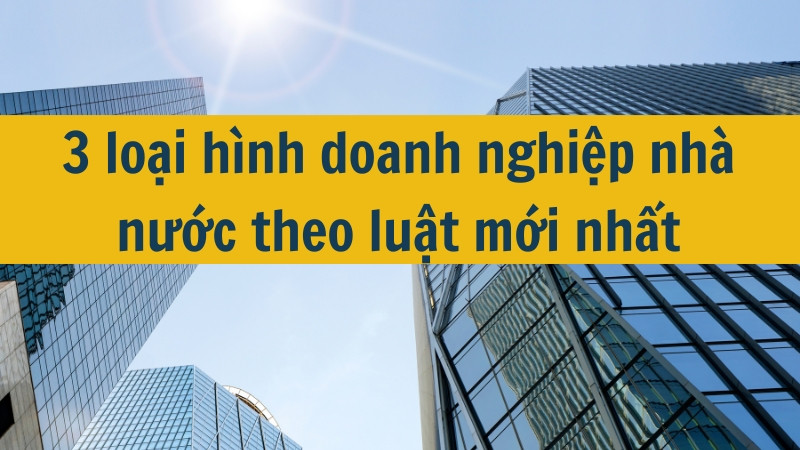 3 loại h&igrave;nh doanh nghiệp nh&agrave; nước theo luật mới nhất