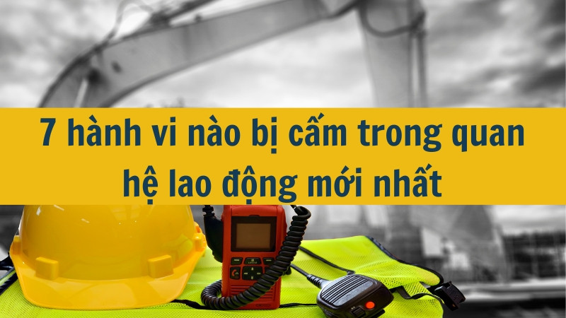 7 h&agrave;nh vi n&agrave;o bị cấm trong quan hệ lao động mới nhất