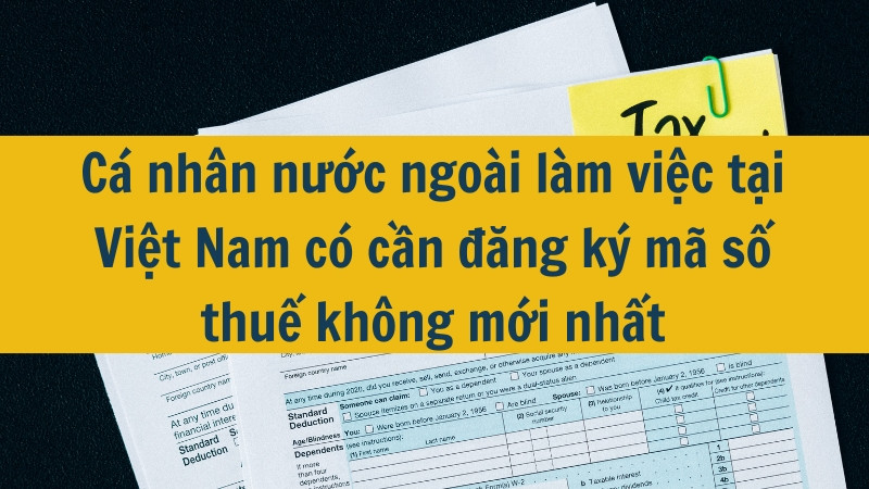 Cá nhân nước ngoài làm việc tại Việt Nam có cần đăng ký mã số thuế không mới nhất