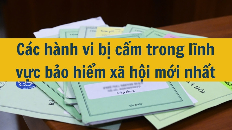 C&aacute;c h&agrave;nh vi bị cấm trong lĩnh vực bảo hiểm x&atilde; hội mới nhất