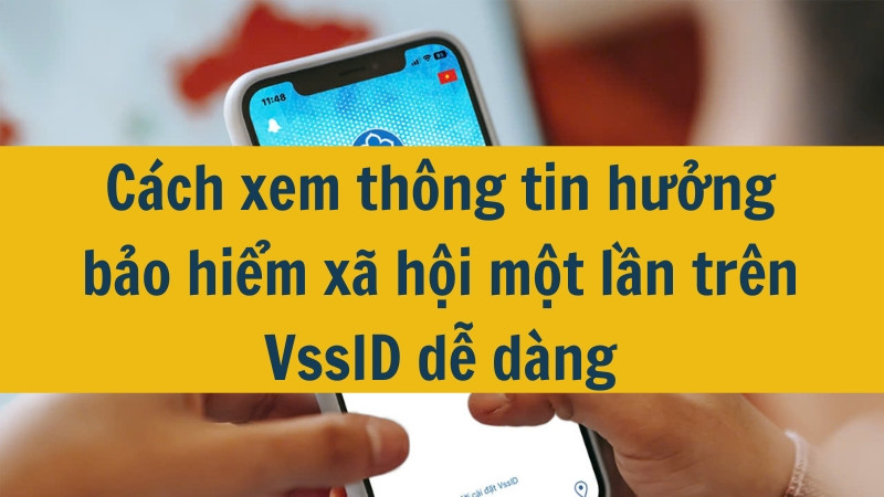 C&aacute;ch xem th&ocirc;ng tin hưởng bảo hiểm x&atilde; hội một lần tr&ecirc;n VssID dễ d&agrave;ng