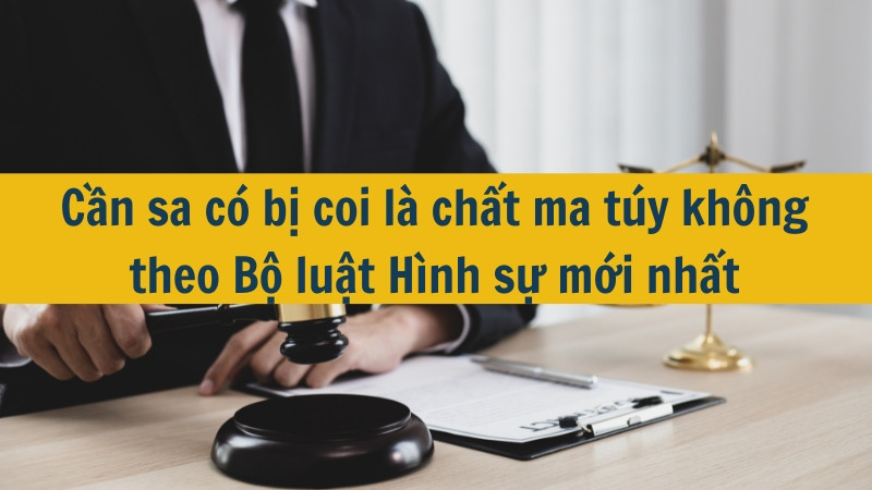 Cần sa c&oacute; bị coi l&agrave; chất ma t&uacute;y kh&ocirc;ng theo Bộ luật H&igrave;nh sự mới nhất