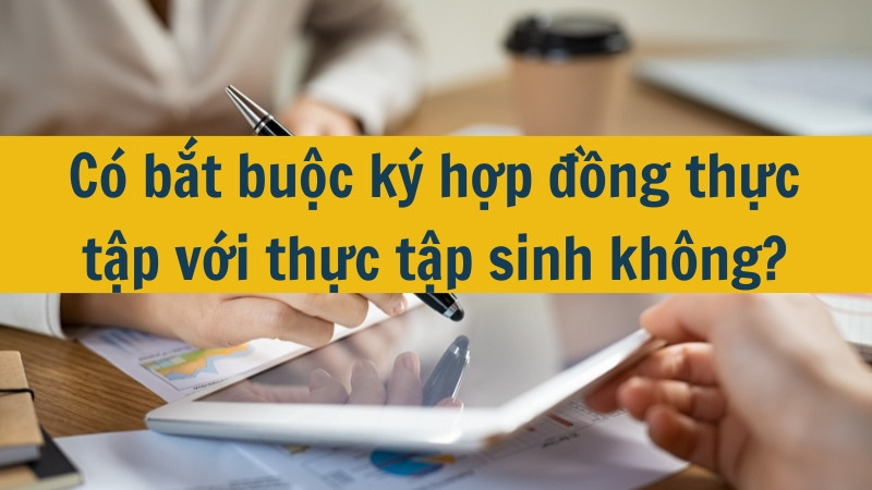 C&oacute; bắt buộc k&yacute; hợp đồng thực tập với thực tập sinh kh&ocirc;ng?