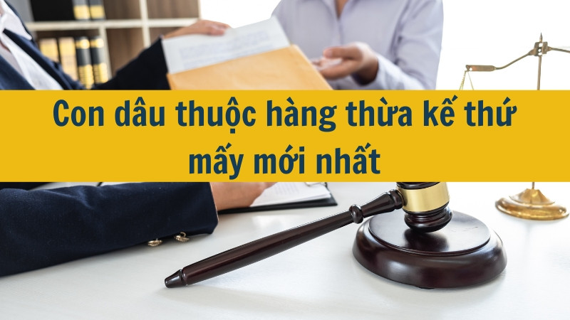 Con dâu thuộc hàng thừa kế thứ mấy mới nhất