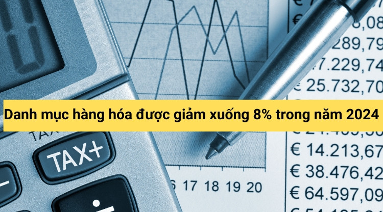 Danh mục hàng hóa được giảm xuống 8% trong năm 2024