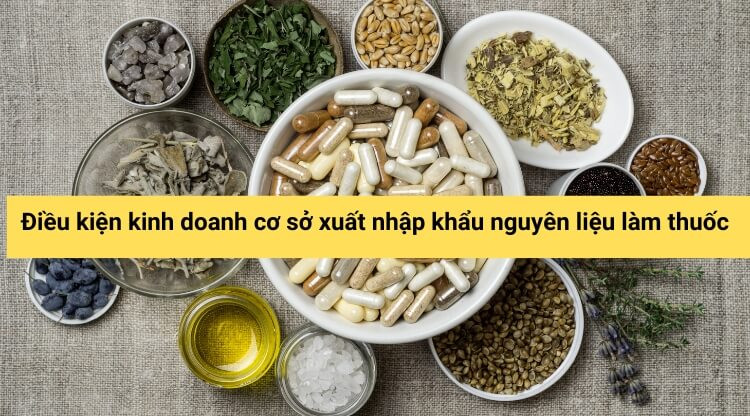 Điều kiện kinh doanh cơ sở xuất nhập khẩu nguyên liệu làm thuốc