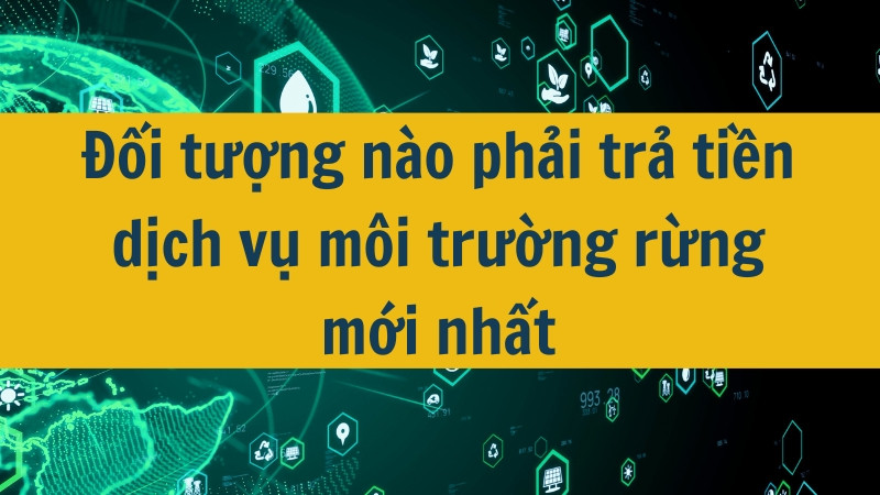 Đối tượng n&agrave;o phải trả tiền dịch vụ m&ocirc;i trường rừng mới nhất