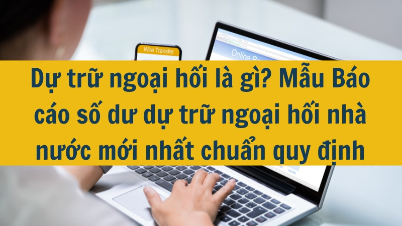 Dự trữ ngoại hối l&agrave; g&igrave;? Mẫu B&aacute;o c&aacute;o số dư dự trữ ngoại hối nh&agrave; nước mới nhất chuẩn quy định