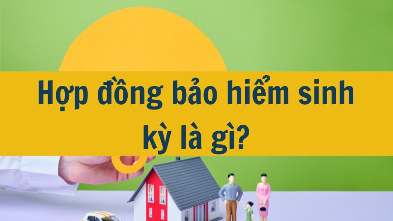 Hợp đồng bảo hiểm sinh kỳ l&agrave; g&igrave;?