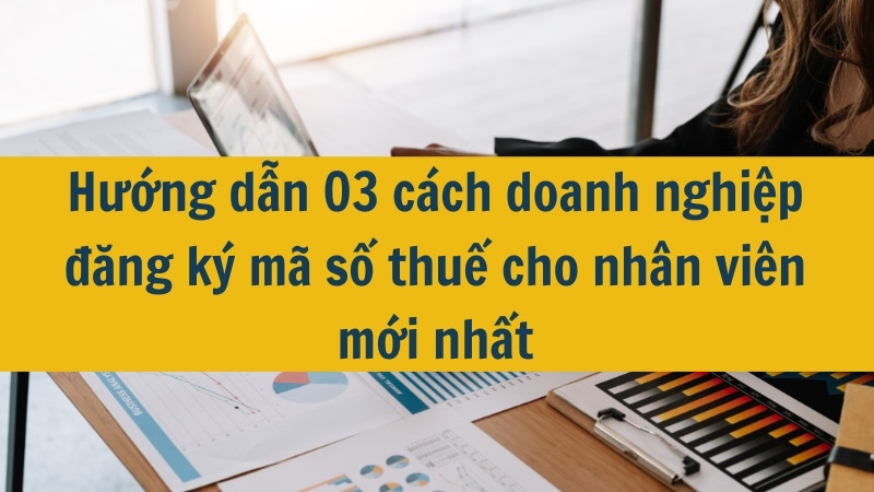 Hướng dẫn 03 cách doanh nghiệp đăng ký mã số thuế cho nhân viên mới nhất