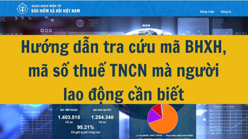 Hướng dẫn tra cứu m&atilde; BHXH, m&atilde; số thuế TNCN m&agrave; người lao động cần biết