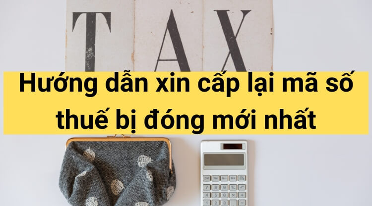 Hướng dẫn xin cấp lại mã số thuế bị đóng mới nhất