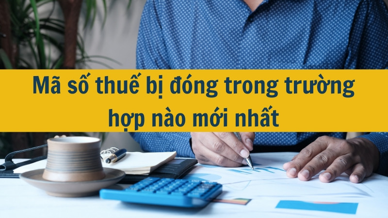 Mã số thuế bị đóng trong trường hợp nào mới nhất