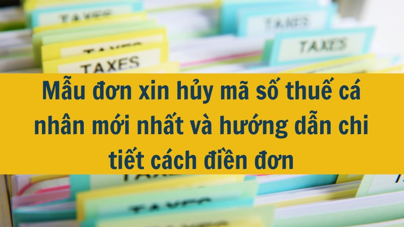 Mẫu đơn xin hủy mã số thuế cá nhân mới nhất và hướng dẫn chi tiết cách điền đơn