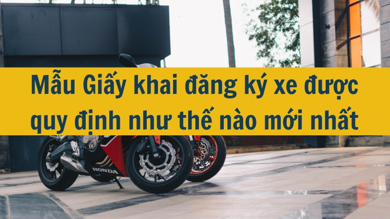 Mẫu Giấy khai đăng ký xe được quy định như thế nào mới nhất