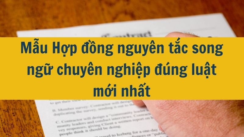 Mẫu Hợp đồng nguy&ecirc;n tắc song ngữ chuy&ecirc;n nghiệp đ&uacute;ng luật mới nhất