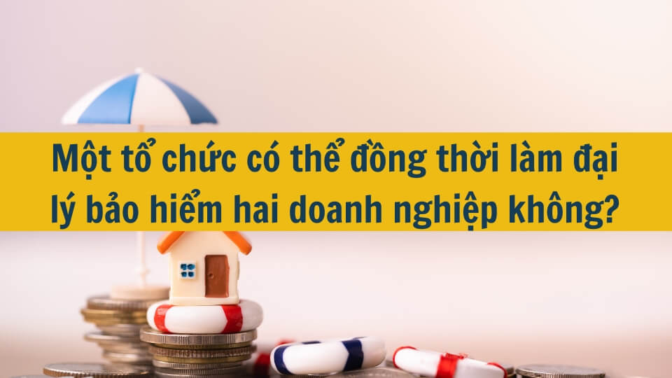 Một tổ chức có thể đồng thời làm đại lý bảo hiểm hai doanh nghiệp không?