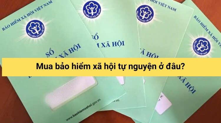 Mua bảo hiểm xã hội tự nguyện ở đâu?