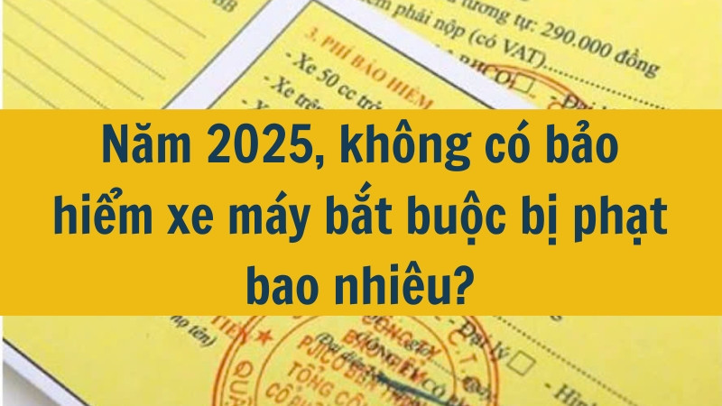 Năm 2025, kh&ocirc;ng c&oacute; bảo hiểm xe m&aacute;y bắt buộc bị phạt bao nhi&ecirc;u?