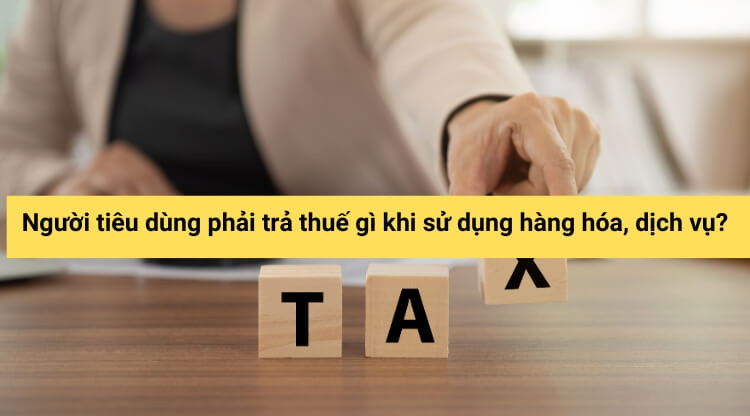 Người tiêu dùng phải trả thuế gì khi sử dụng hàng hóa, dịch vụ?